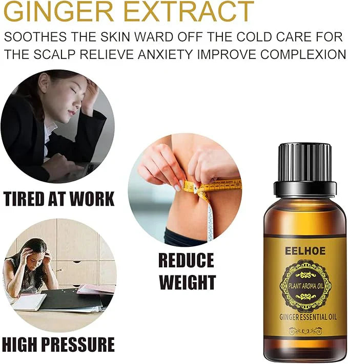 🫚✨ EELHOE – Ginger Essential Oil ✨🫚